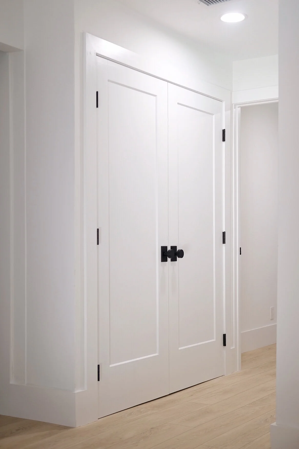 Modern best sale door knobs